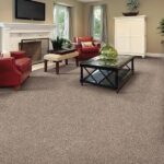 Why Choose Wall-to-Wall Carpets for Your Home