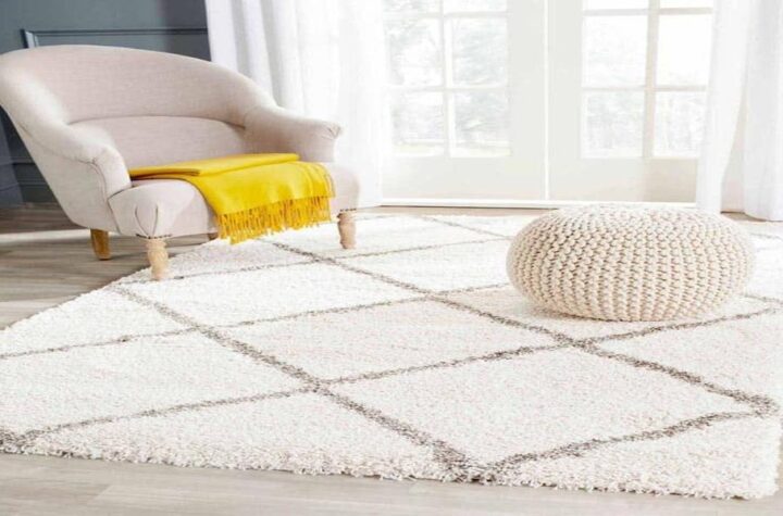 The Elegance of Shaggy Rugs Unveiling Their Real Value